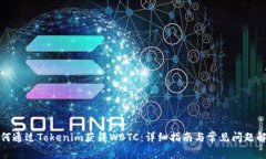 如何通过Tokenim获得WBTC：详