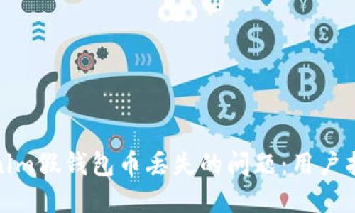 如何处理Tokenim假钱包币丢失的问题：用户指南与解决策略