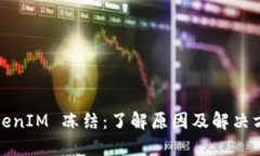 TokenIM 冻结：了解原因及解