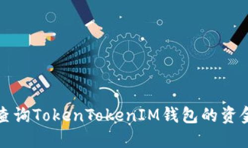 如何查询TokenTokenIM钱包的资金去向