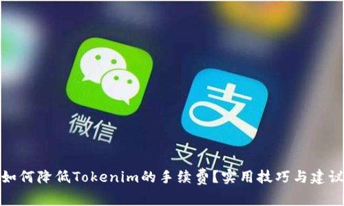 如何降低Tokenim的手续费？实用技巧与建议