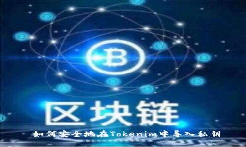  如何安全地在Tokenim中导入私钥